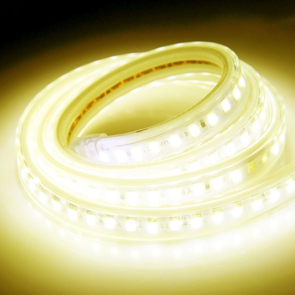 Casing Waterproof LED Light Strip, Length: 1m, IP65 SMD 5730 LED Light Strip with Power Plug, 120 LED/m, AC 220V(Warm White)