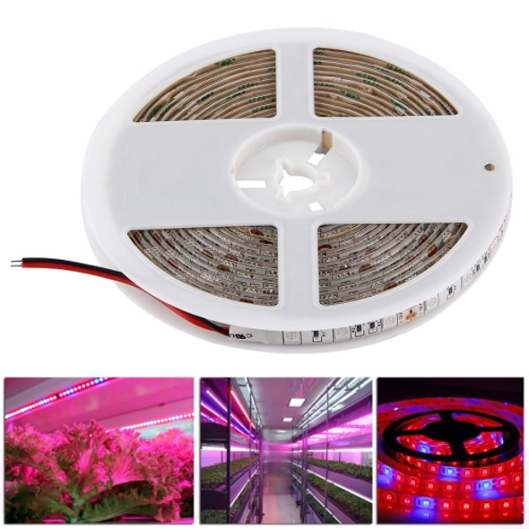 5m SMD 5050 5:1 Red + Blue Plant Grows Lamp, 300 LEDs Aquarium Greenhouse Hydroponic Waterproof Epoxy Rope Light, 60 LEDs/m, DC 12V