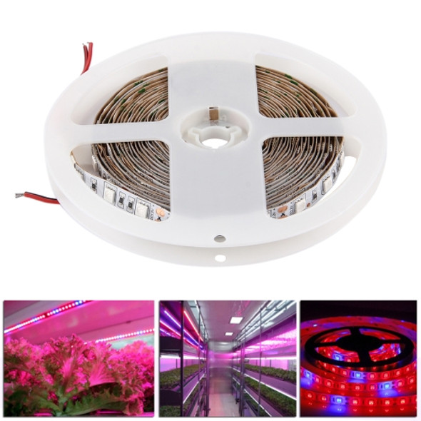 5m SMD 5050 3:1 Red + Blue LED Plant Grows Lamp, 300 LEDs Aquarium Greenhouse Hydroponic Bare Board Rope Light, 60 LEDs/m, DC 12V