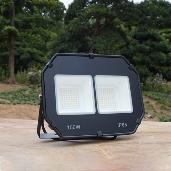 100W Outdoor Waterproof Spotlight Flood Light