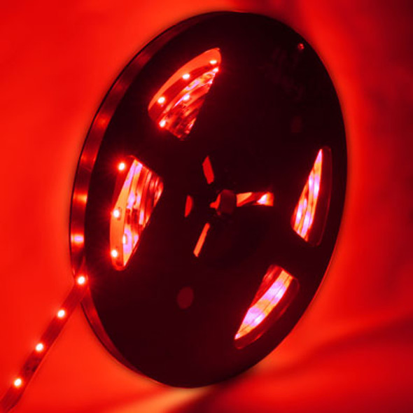 4.8W Bare Board Rope Light, Length: 5m, Red Light  3528 SMD LED, 60 LED/m, DC 12V