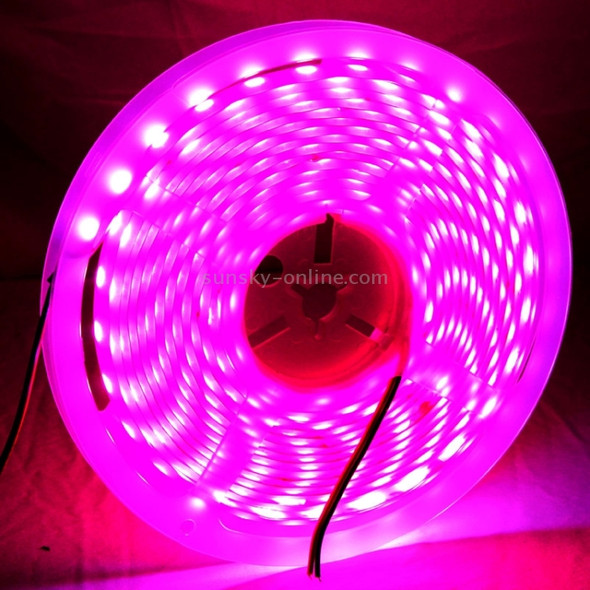 14W LED Rope Light, Epoxy Waterproof 5050 SMD, 60 LED/M, Length: 5m(Magenta)