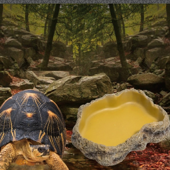 Resin Pets Reptile Feeding Plate Bowl Lizard Tortoise Turtle Gecko Feeding, SIZE:XS