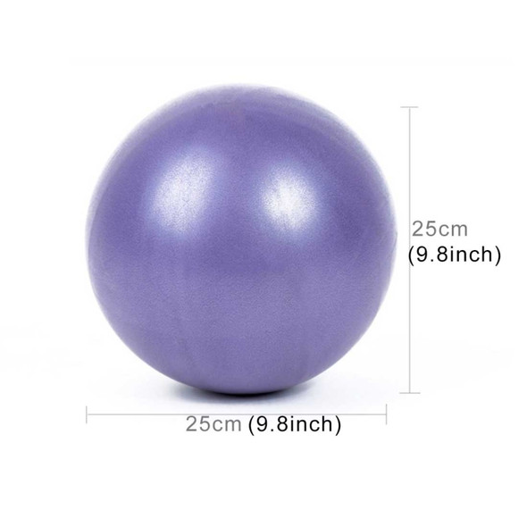 3 PCS Mini Yoga Pilates Ball Explosion-proof PVC Ball Balanced Fitness Gymnastic Exercise Training with Straw, Diameter: 25cm(Purple)