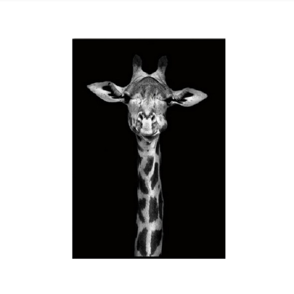 Simple Black and White Animal Decoration Painting Study Living Room Sofa Background Wall Painting Without Frame, Size:50X70cm(Giraffe)