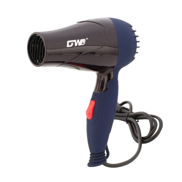 GW-555 220V Portable Mini Hair Blower Foldable Traveller Household Electric Hair Dryer(Silver)