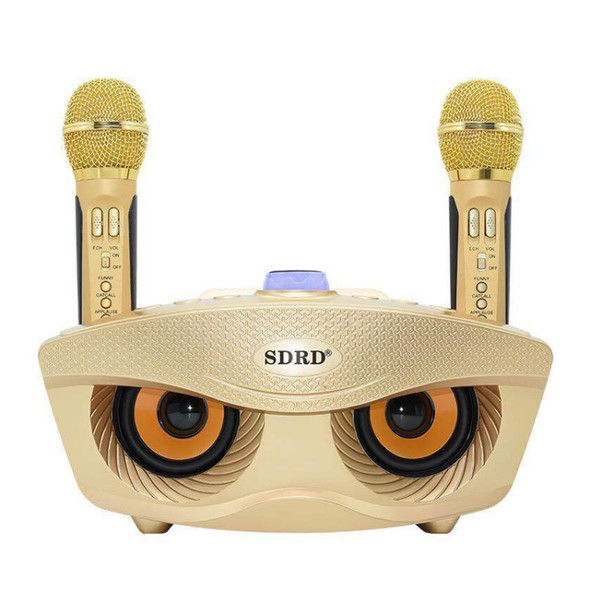 SD-306 2 in 1 Family KTV Portable Wireless Live Dual Microphone + Bluetooth Speaker(Gold)