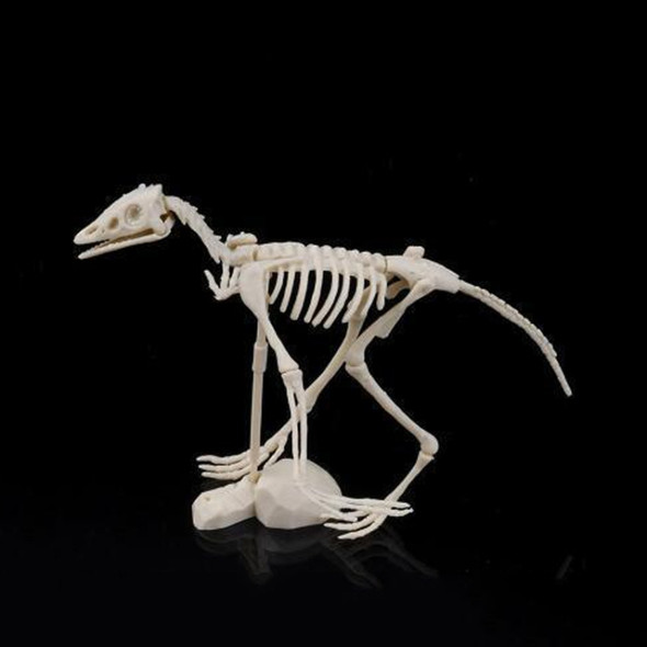 Creative DIY Excavation Archeological Dinosaur Toy Fossil Puzzle Children Handmade Dinosaur Skeleton Model(Archaeopteryx)