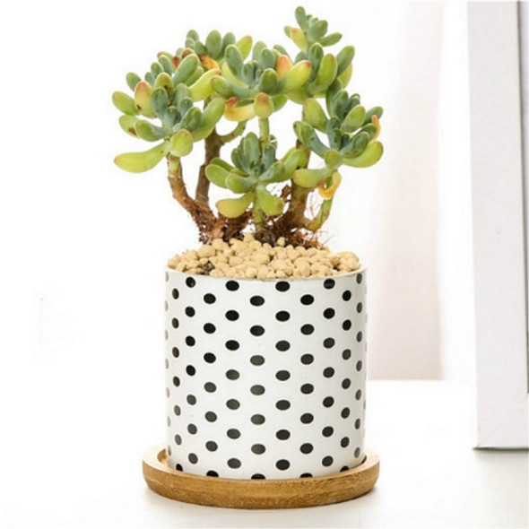 4 PCS Geometric Simple Straight Succulent Deramic Flower Pot(White and Black Dots)