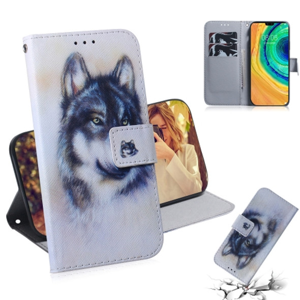 For Huawei Mate 30 / 5G Coloured Drawing Pattern Horizontal Flip PU Leather Case with Holder & Card Slots & Wallet(White Wolf)