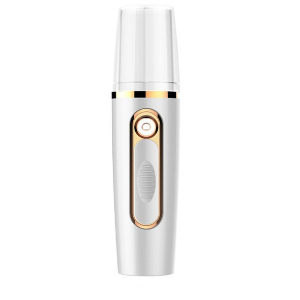 Portable Mini Moisturizing Sprayer Rechargeable Beauty Disinfectant Humidifier Automatic Alcohol Sprayer(White+Gold)