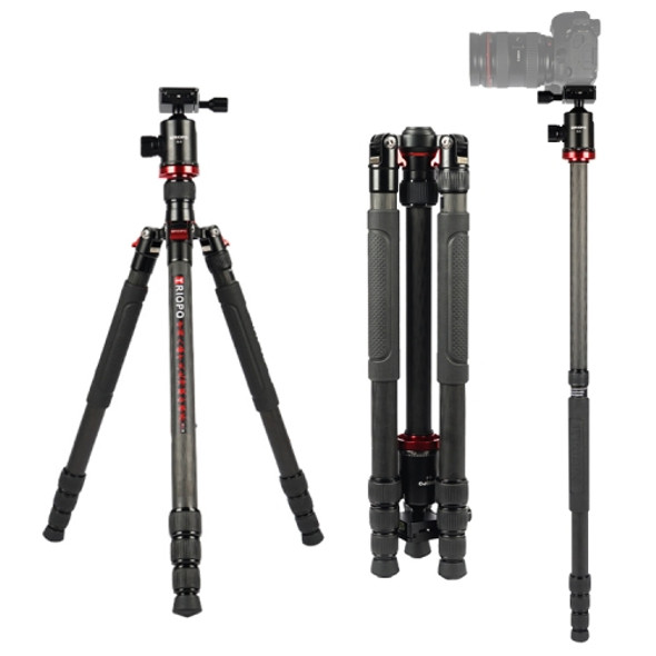 TRIOPO 888 Adjustable Portable Carbon Fiber Tripod with Q-2 Ball Head for SLR Camera, Pipe diameter: 28cm