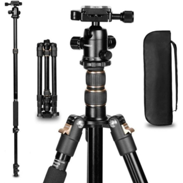 TRIOPO K2508S+B1S Adjustable Portable  Aluminum Aalloy Tripod with Ball Head for SLR Camera (Gold)