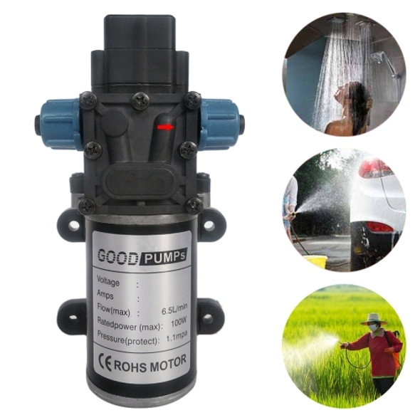 DC12V 100W Smart Double Thread Positive Pump Diaphragm 8L Atomizing Spray Water Pump for Car Washing / Irrigation