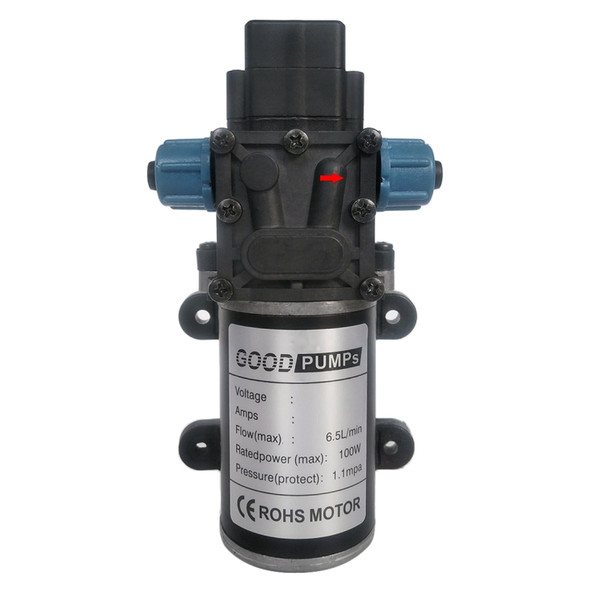 DC12V 100W Smart Double Thread Positive Pump Diaphragm 8L Atomizing Spray Water Pump for Car Washing / Irrigation