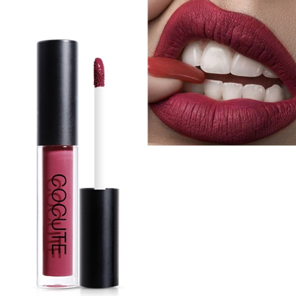 Matte Waterproof Makeup Lip Gloss Liquid Lip Stick Long Lasting Lipgloss(1)