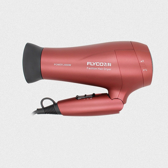 FLYCO FH6218 Hair Dryer Hair Salon Home Student 2000W Silent Hair Dryer, CN Plug