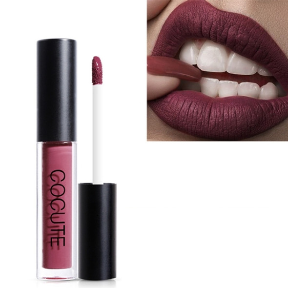 Matte Waterproof Makeup Lip Gloss Liquid Lip Stick Long Lasting Lipgloss(9)
