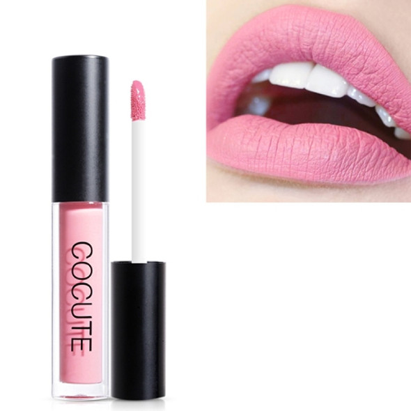 Matte Waterproof Makeup Lip Gloss Liquid Lip Stick Long Lasting Lipgloss(5)