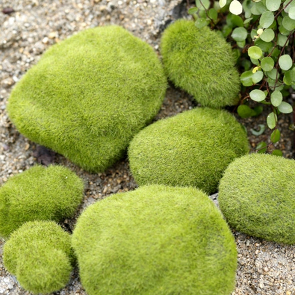 Simulation of False Moss Simulation of Bryophyte Stone Moss Flocking False Lawn Micro Landscape Decoration Accessories, Diameter:10cm