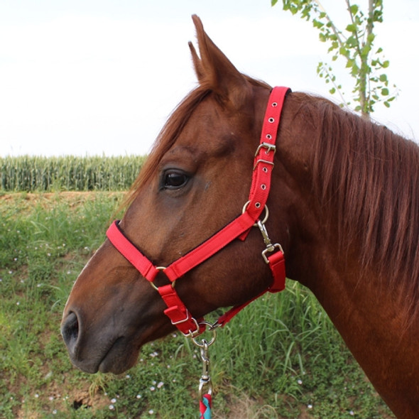 Nylon Full-Line Board Horse Rein Headstall Equestrian Supplies, Specification: M (Red)