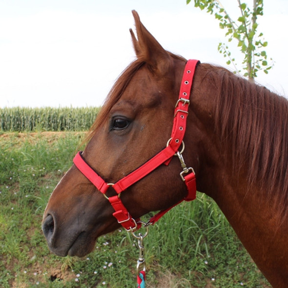 Nylon Full-Line Board Horse Rein Headstall Equestrian Supplies, Specification: XL (Red)