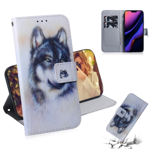 3D Colored Drawing Horizontal Flip Leather Case, with Holder & Card Slot & Wallet For iPhone 11 Pro(White Wolf)