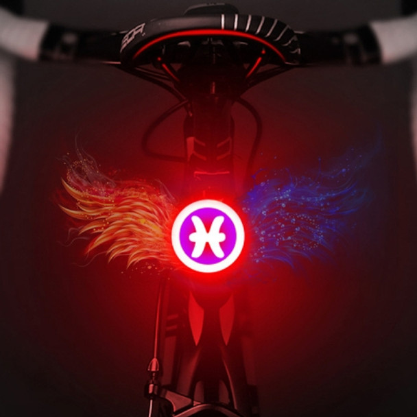 USB Charging Red Blue Color Riding Light Rear Lamp Safety Warning Light (Pisces Style)