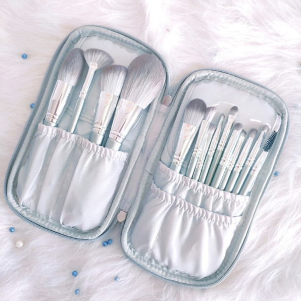 14 in 1  Makeup Brush Set Beauty Tool Brush for Beginners, Exterior color: 14 Makeup Brushes + Silver Bag