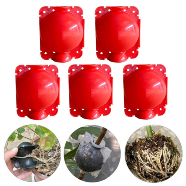 5 PCS High Pressure Propagation Ball Graft Box Breeding Case For Garden Graft, Size: 8cm(Red)