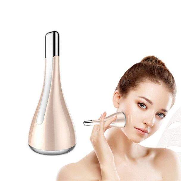 A01 Household Facial Vibration Massage Instrument(Champagne Gold)