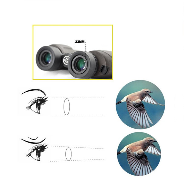 VISIONKING SR8X36 8X Magnification BaK7 Prisms HD Binoculars Binoculars Waterproof Night Vision Design Super Clear Lightweight for Bird Watching, Hunting, Stargazing