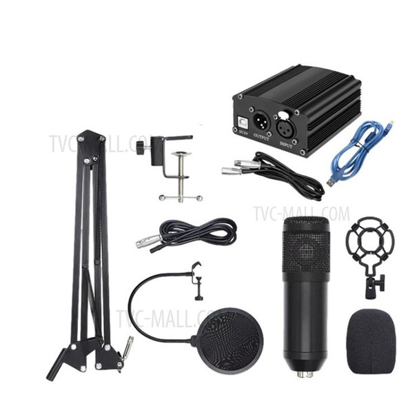 BM700 Professional Condenser Microphone Set for Studio Broadcasting and Recording with 48V Power Bank