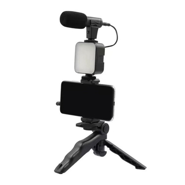 AY-49 10 Brightness Levels Video Fill Light Kit with Mic/Phone Holder/Tripod for Photography Video - Black
