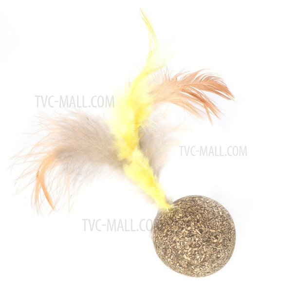 Cat Scratch Catnip Toy Pet Nibble Feather Toy Teether - Ball
