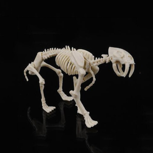 Creative DIY Excavation Archeological Dinosaur Toy Fossil Puzzle Children Handmade Dinosaur Skeleton Model(Saber-toothed Tiger)