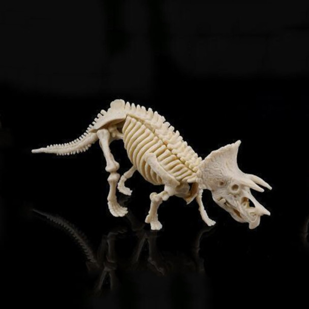 Creative DIY Excavation Archeological Dinosaur Toy Fossil Puzzle Children Handmade Dinosaur Skeleton Model(Triceratops)