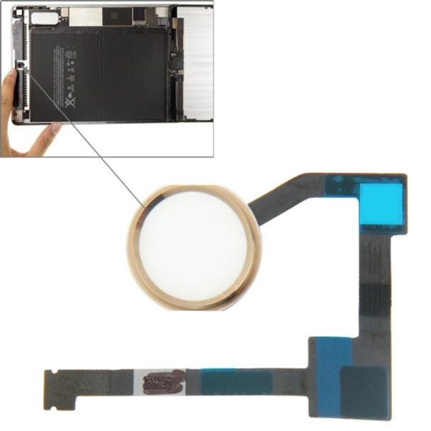 Original Home Button Flex Cable for iPad Air 2 / 6(Gold)