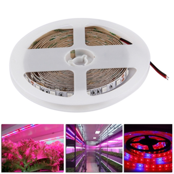 5m SMD 5050 5:1 Red + Blue LED Plant Grows Lamp, 300 LEDs Aquarium Greenhouse Hydroponic Bare Board Rope Light, 60 LEDs/m, DC 12V