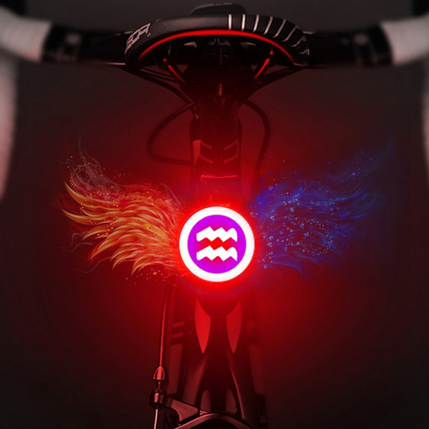 USB Charging Red Blue Color Riding Light Rear Lamp Safety Warning Light (Aquarius Style)