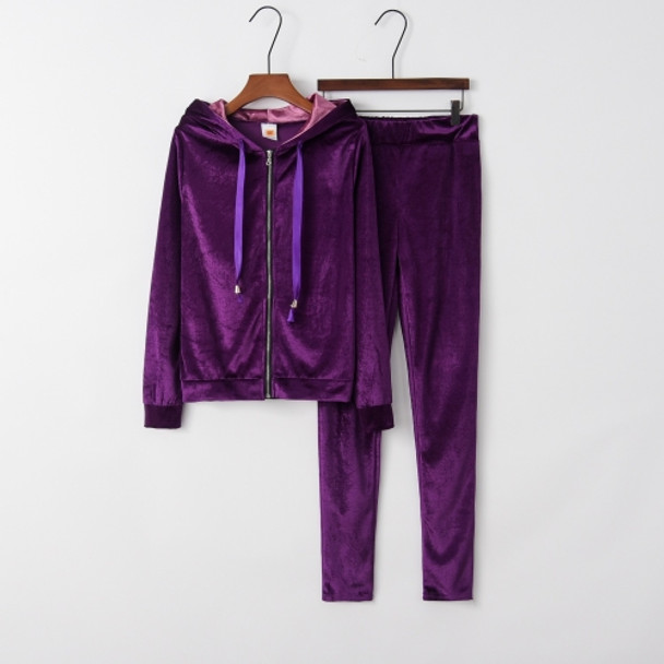 Long Sleeve Casual Women Suit (Color:Purple Size:S)