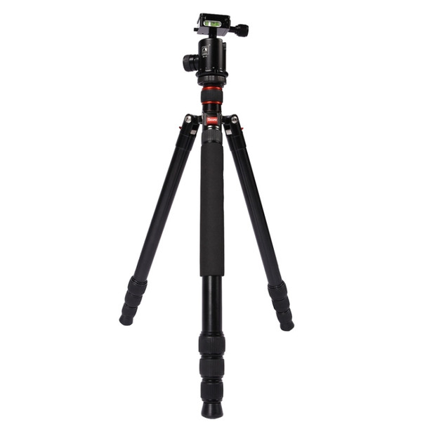 Triopo MT-2804C Adjustable Portable Aluminum Tripod (Gold) with NB-2S Ball Head (Black) for Canon Nikon Sony DSLR Camera