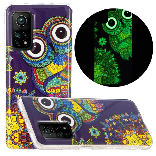 For Xiaomi Mi 10T 5G & 10T Pro 5G Luminous TPU Mobile Phone Protective Case(Blue Owl)