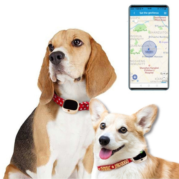 RF-V43 IP67 Waterproof GPS + LBS + WiFi Pet Locator Pet Collar Tracking Device (Gold)