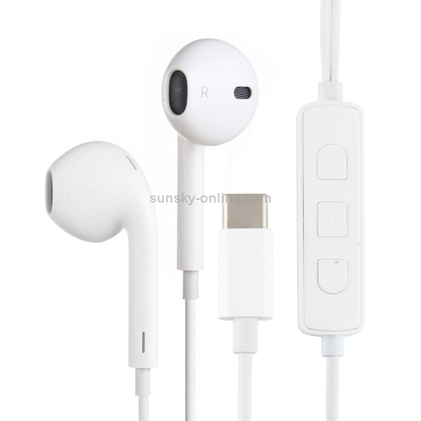 HAMTOD H11 Wired In Ear USB-C / Type-C Noise Cancelling Earphones with Line Control & Mic, Length: 1.2m(White)