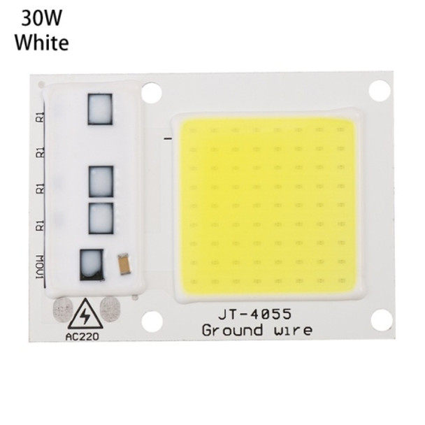 High Power 220V LED FloodlightCool/Warm White COB LED Chip IP65 Smart IC Driver Lamp(30W white)