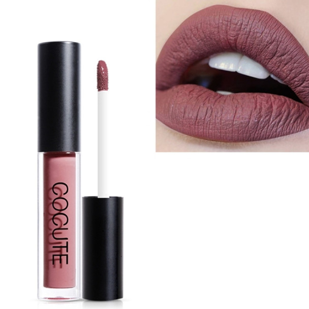 Matte Waterproof Makeup Lip Gloss Liquid Lip Stick Long Lasting Lipgloss(4)