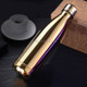 500ml Heat Insulated Stainless Steel Fashionable Outdoor Style Vacuum Thermos