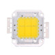 20W 1600LM High Power LED Integrated Light Lamp + 24-36V LED Driver(Warm White)