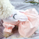 Pet Dog Clothes Spring And Summer Rabbit Ears Princess Skirt Cat Clothing, Size: XL(Pink)